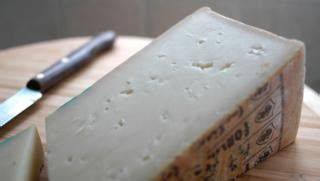 Fontina cheese recipes - BBC Food