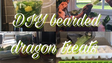 Homemade bearded dragon treats! - YouTube