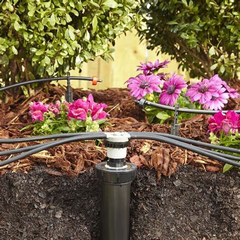 A drip irrigation system lets you make the most of your water to maintain the plants around your ...