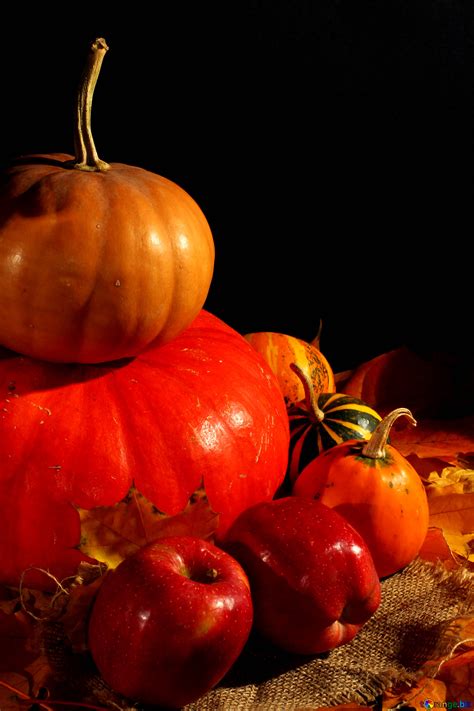 Picture of apples and pumpkins free image - № 35334