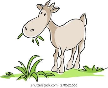 Illustration White Goat On White Background Stock Vector (Royalty Free ...