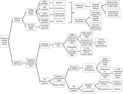 A personalized paradigm in the treatment of platinum-resistant ovarian ...