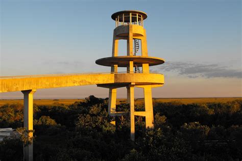 Shark Valley Tram Tours – Miami Beach Visitor Center