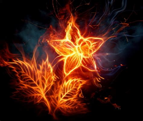 fire :: flower :: art (beautiful pictures) / funny pictures & best jokes: comics, images, video ...