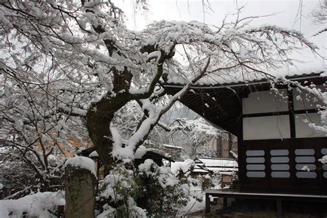 Seasonal Features | Plan Your Trip | Visit Arima Onsen, Kobe