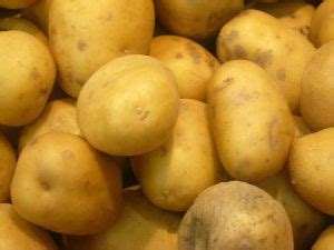 Potato Allergy Symptoms, Treatment of Potato Allergy, Hay Fever, Eczema