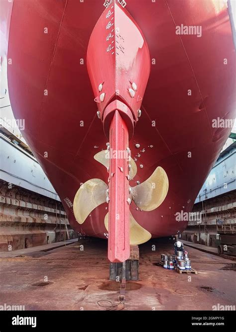 Dry-cargo ship in dry dock for repairs and maintenance at a shipyard. The stern of a large ship ...
