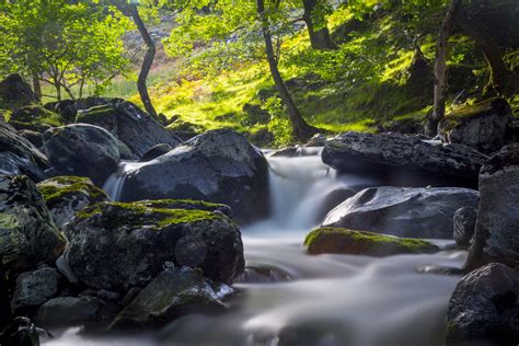 Water Stream Landscape Free Stock Photo - Public Domain Pictures