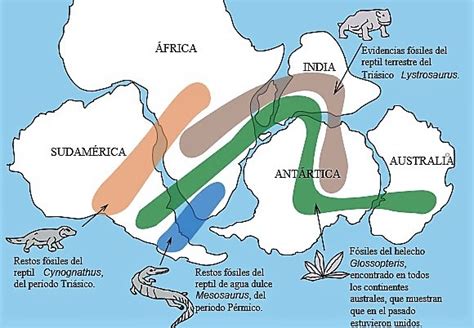 Continental drift | What is, theory, evidence, stages, importance