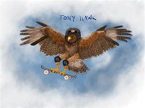 Tony Hawk Created by Kate Compton Instagram @PunelopeCruz | Tony hawk ...