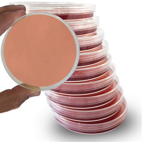 Buy MacConkey Agar Plates - Evviva Sciences - 10 Prepoured MacConkey Agar Petri Dishes - Great ...