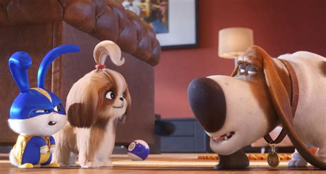 ‘The Secret Life of Pets 2’ Review: A Silly and Sweet Sequel | IndieWire