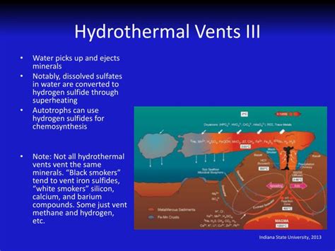 PPT - Hydrothermal Vents I: Chemoautotrophs PowerPoint Presentation - ID:1539616