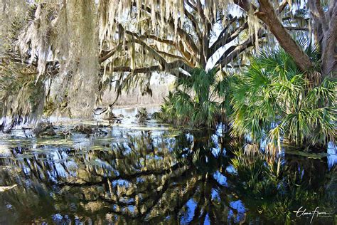 Flooded Alachua Sink Photograph by Elena Fraser