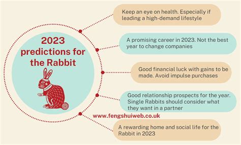 2023 Chinese Animal Predictions for the Rabbit - Feng Shui Store