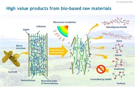 Bio-Based Material Applications by Daniel Gao, DSM