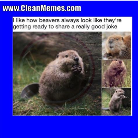 Clean Jokes – Clean Memes