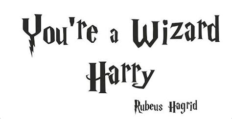 You're a wizard Harry | Harry Potter Amino