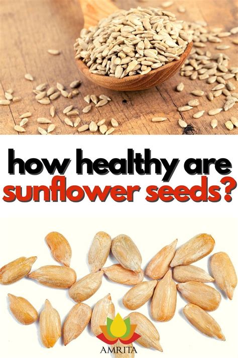 This super seed may be the superfood you may be missing out on! Sunflower seeds are high in ...