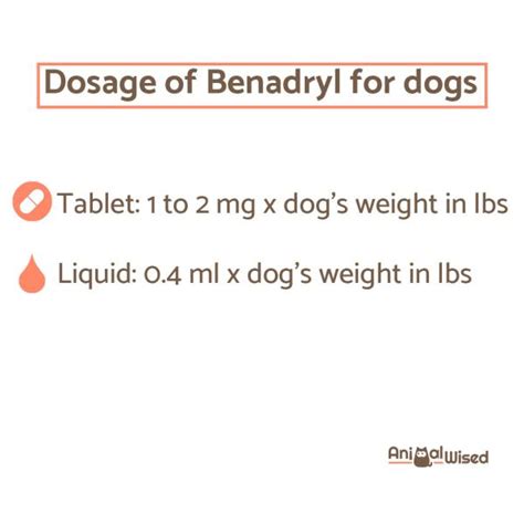 Benadryl for Dogs: Guide for Dosage, Side Effects and Safety