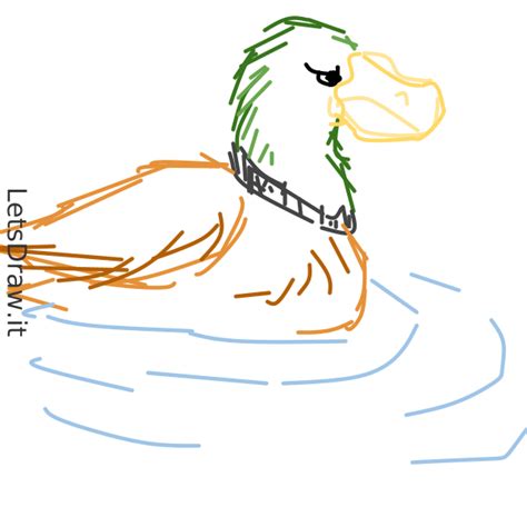 How to draw duck / do18nqa38.png / LetsDrawIt