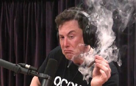 Elon Musk smokes a live joint during an interview - Afrinik