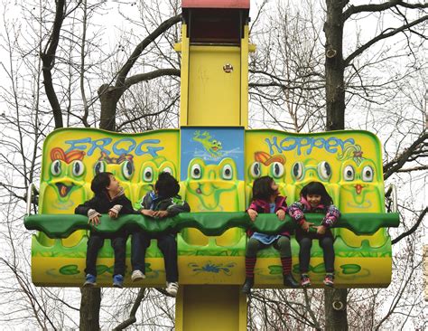 New amusement ride being added to the Forest Park Carousel at Woodhaven ...