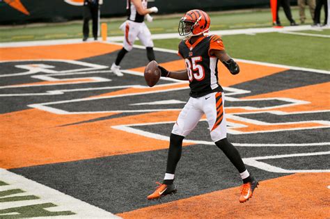 Bengals: Chad Johnson has unbelievable praise for Tee Higgins