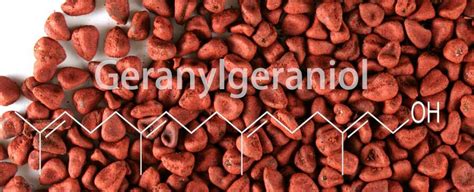 Bulk geranylgeraniol extracted from annatto seeds is available