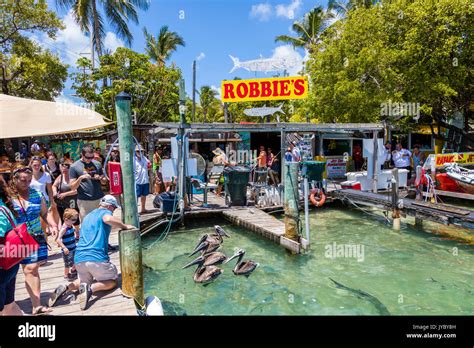 Tourists feeding the Tarpon at Robbies Marina in Islamorada in the Florida Keys Stock Photo - Alamy