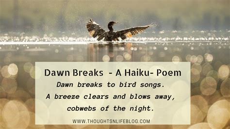 Dawn Breaks a Haiku Poem – ThoughtsnLifeBlog