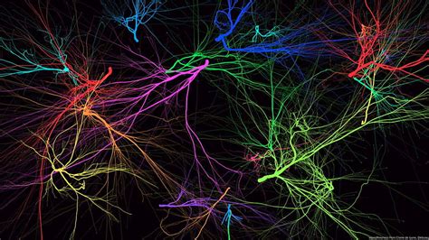 Abstract Neuron Wallpaper