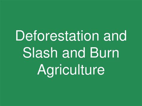 PPT - Deforestation and Slash and Burn Agriculture PowerPoint Presentation - ID:2164174