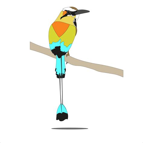 illustration of the Momotidae or motmot birds which all live in the ...