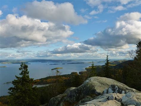 Koli National Park, Finland | National parks, Natural landmarks, Wind in my hair