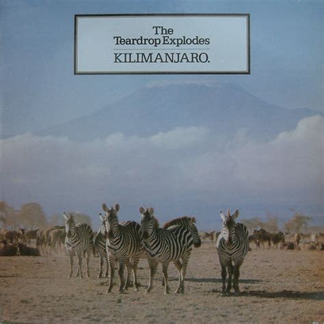 Kilimanjaro - The Teardrop Explodes 1979 | This is a brillia… | Flickr