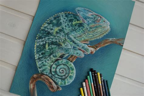 Chameleon Original hand drawn colored pencils drawing | Etsy