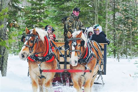 Experience the Magic of a Horse-Drawn Sleigh Ride in Eagle River, Wisconsin • Up North Action