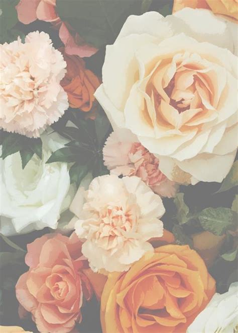 vintage flower on Tumblr