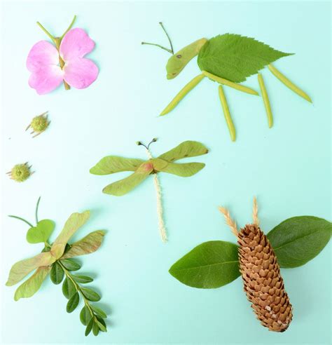 Nature Bugs | CBC Parents | Nature collage, Insect crafts, Nature kids