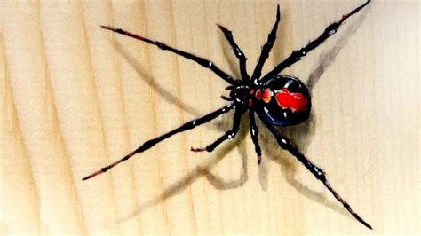 Realistic Spider Painting - YouTube