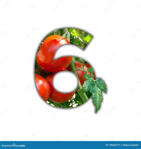 Number 6 Made of Fresh Fruit. 6 Lettering Stock Image - Image of graphic, health: 136046191