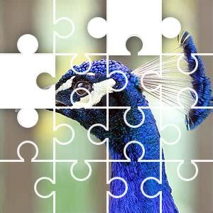 Peacock Jigsaw Puzzle - JigZone.com