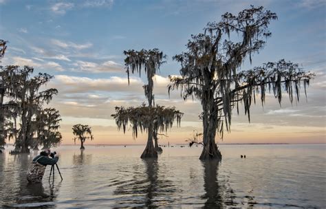 Lake Maurepas trip results in amazing photos - Andy Crawford Photography