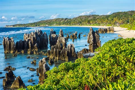 Nauru: informazioni e idee di viaggio - Lonely Planet