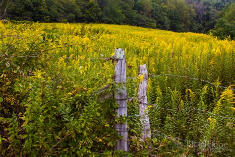 Fall Foliage 2018 Forecast and Guide - Blue Ridge Mountain Life