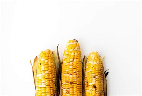 barbecued corn - hot for food