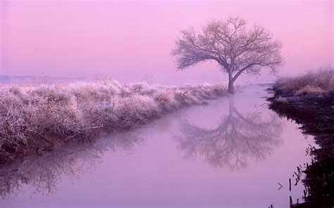 Serene Pink HDR: Tranquil HD Wallpaper