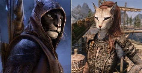 Khajiit | Khajiit names, Elder scrolls funny, Skyrim names