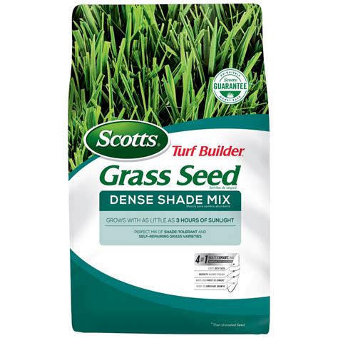 What Is Dense Shade Grass Seed - Printable Templates Protal